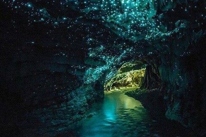 Waitomo Glow Worm Caves Tour from Auckland - Practical Considerations and Potential Drawbacks