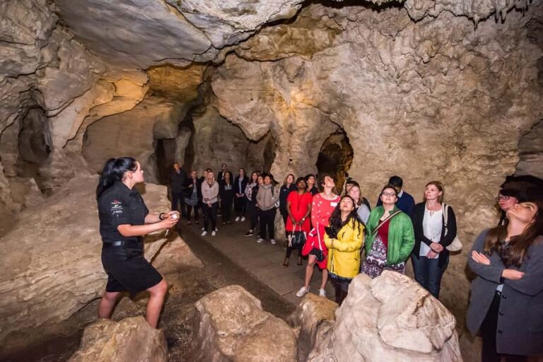 Waitomo: Glowworm Caves Guided Tour by Boat - The Boat Ride Experience
