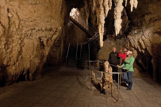 Waitomo Glowworm Caves Guided Tour - Exploring the Waitomo Glowworm Caves: What to Expect