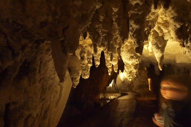 Waitomo Glowworm Caves In a Private Small Group Tour-Auckland. - Who Is This Tour Best For?