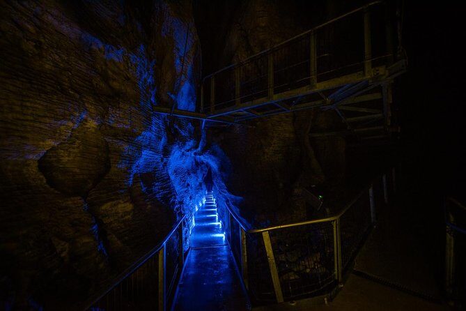 Waitomo Glowworm & Ruakuri Twin Cave Experience - Small Group Tour From Auckland - Who Will Enjoy This Tour?