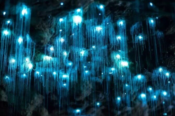 Waitomo Spellbound Glowworm Caves Small Group Tour from Auckland - FAQ