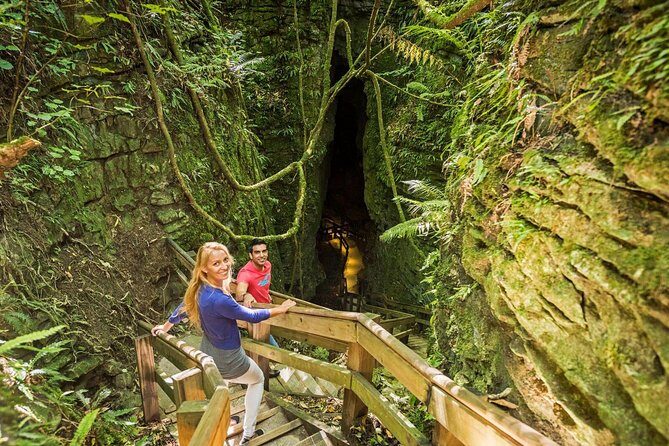 Waitomo & The King Country Exclusive Luxury Day Tour from Auckland - Evaluating the Value