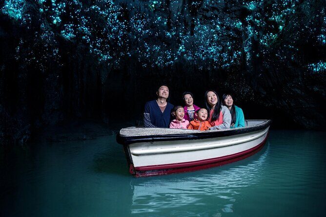 WAITOMO - Twin Caves Discovery - Private Day Tour from Auckland - About the Price and Value