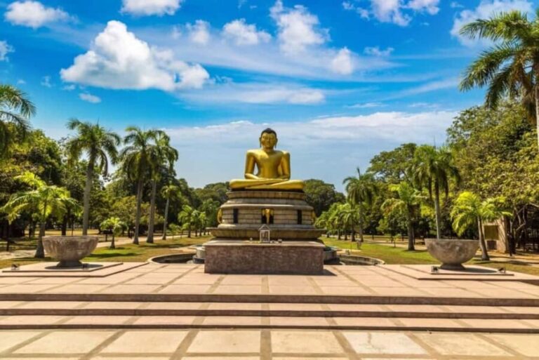 Walk and Explore Colombo City: Guided Walk with Food Tasting - Logistics & Practicalities