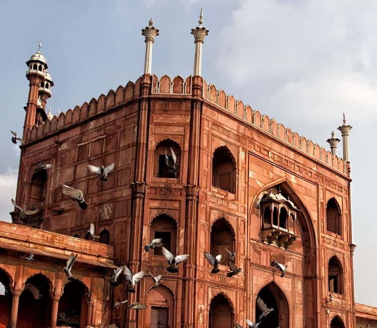 Walk & Explore Old Delhi: Guided Tour by Foot with a Local - Who Will Love This Experience?