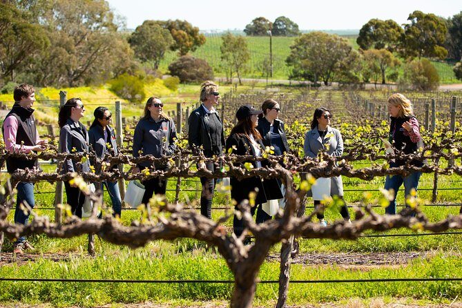 Walk, Taste, Graze - Experience at Pindarie - Practical Details: What You Need to Know