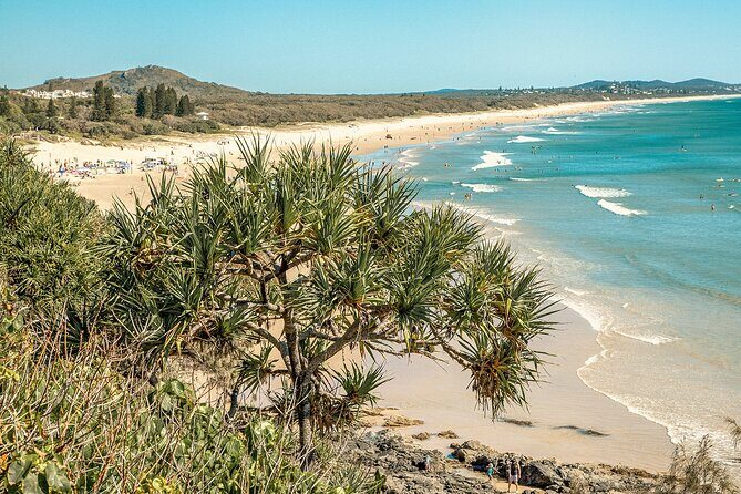 Walking Photography Activity in Coolum Beach - The Sum Up