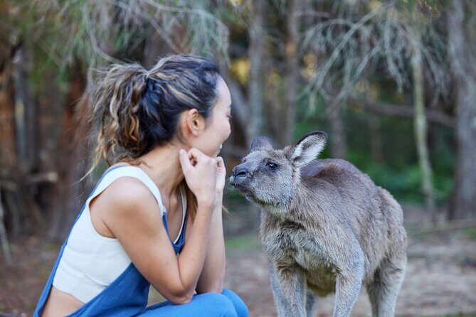 Wallabies & Wine - Hunter Valley Adventure - Final Thoughts: Is This Tour Worth It?