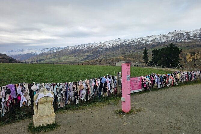 Wanaka Private Day Trip from Queenstown: TravelnGo - Analyzing the Value