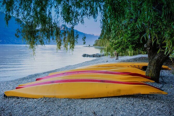 Wanaka to Queenstown Small-Group Tour (one-way) - What’s Included and What’s Not
