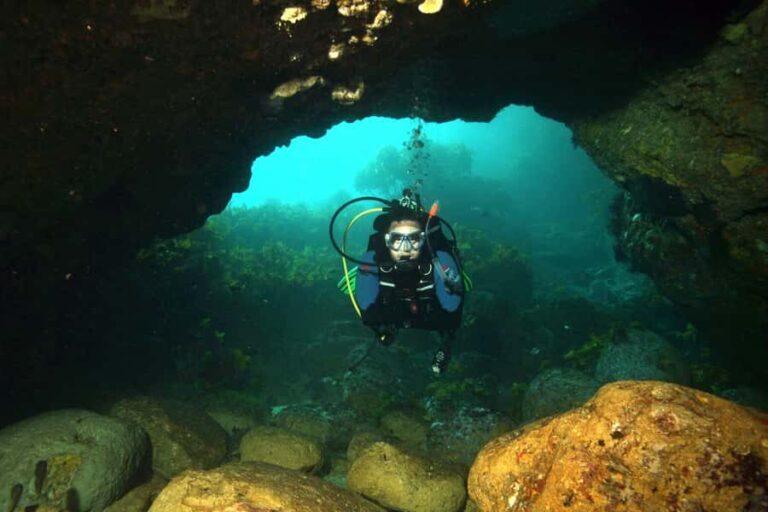 Warkworth: Full-Day Scuba Dive Charter at Hen and Chickens - Who Is This Tour Best For?