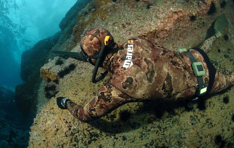 Warkworth: Full-Day Spearfishing Charter - The Value and Who Will Enjoy This