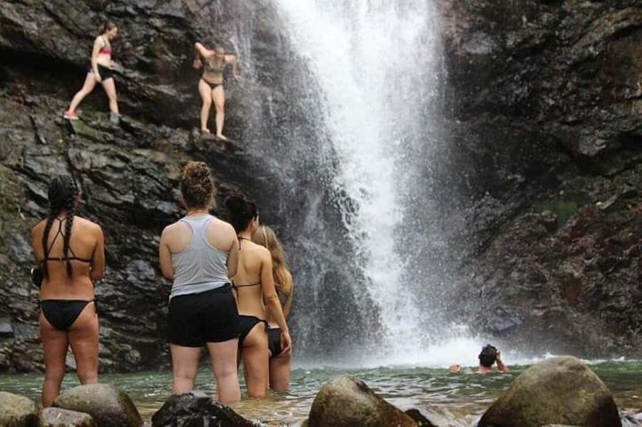 Waterfall Adventure & Fijian Village Journey from Nadi Hotel - What Makes This Tour Stand Out?