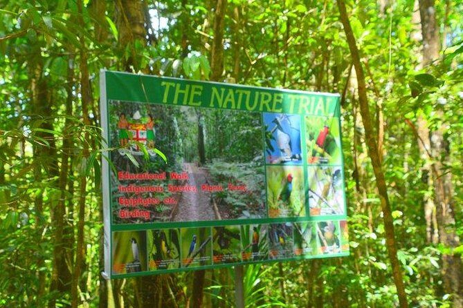 Waterfalls and Nature Tour - The Sum Up