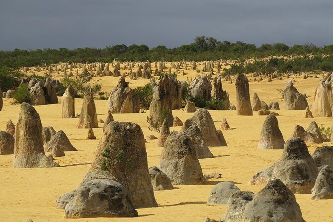 Wave Rock, Pinnacles and Rottnest One Day Aeroplane Tour - Value for Money: Is the Tour Worth It?