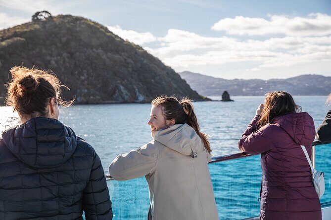 Wellington 90 minute Harbour Cruise - Sights & Highlights