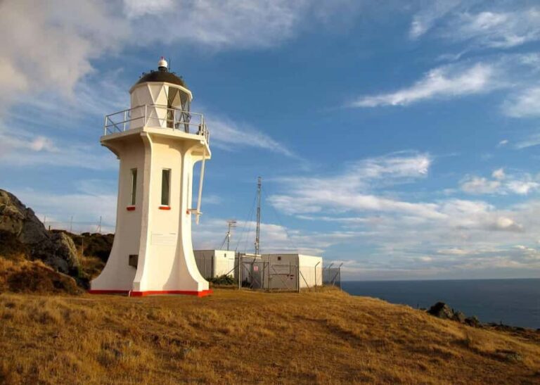 Wellington: Baring Head Lighthouse Walk - The Value of Ongoing Restoration and Conservation
