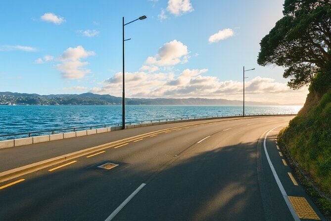 Wellington Coastal Self Drive Tour with an APP - Practical Details