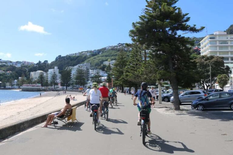 Wellington: Easy Rider Guided eBike Tour - The Guide & Personalization
