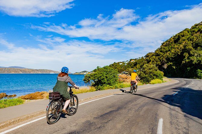 Wellington Electric Bike Rental - Who Should Consider This Experience?