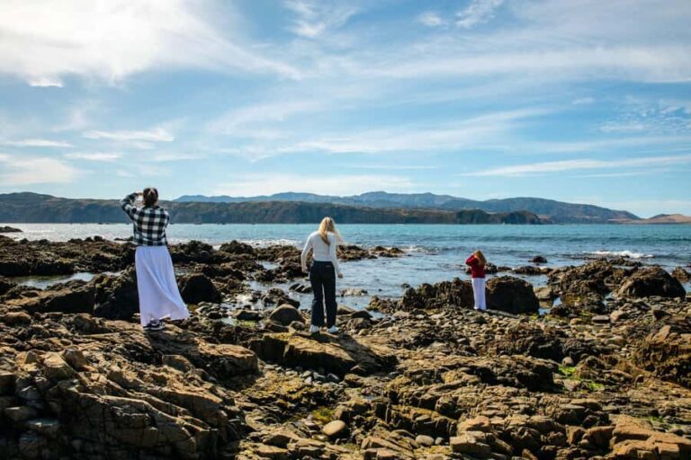 Wellington: Guided City Tour with Cable Car Ticket - The Itinerary: A Closer Look