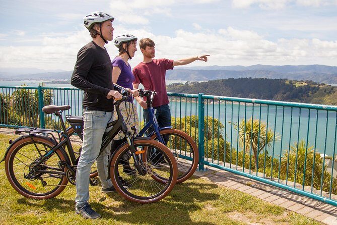 Wellington Guided eBike Tour-Cruise Shore Excursion - What Travelers Say