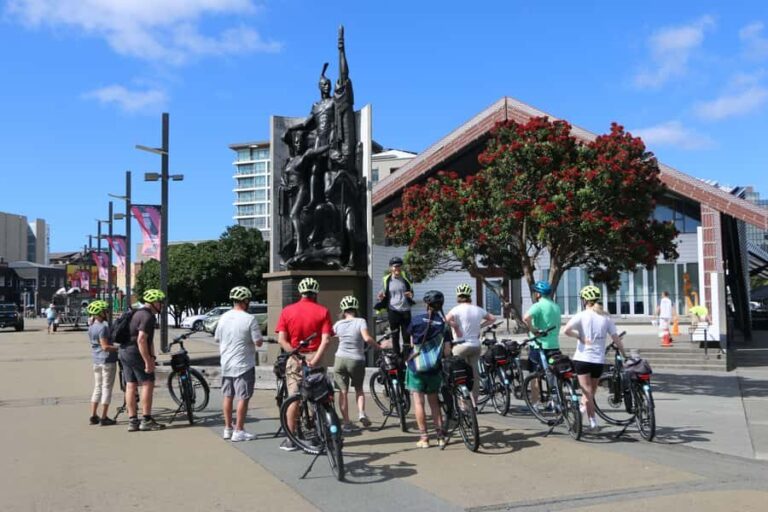 Wellington: Guided Sightseeing Tour by Electric Bike - What Makes This Tour Stand Out