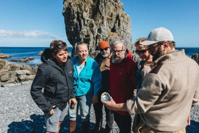 Wellington: Half Day Seal Coast Safari - The Itinerary in Detail