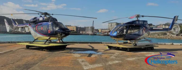 Wellington Helicopter Scenic Flight - What to Expect During Your Flight