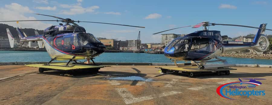 Wellington Helicopter Scenic Flight - What to Expect During Your Flight