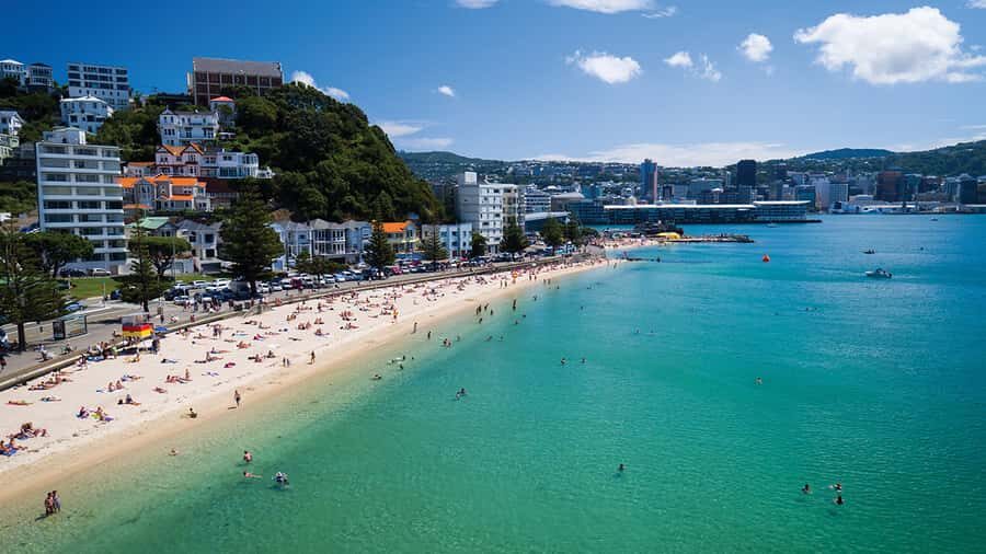 Wellington Helicopters Scenic Harbour Flight - The Experience: A Closer Look