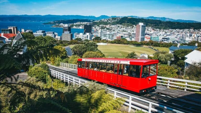 Wellington: Highlights Tour with a Local Guide - The Itinerary: A Closer Look