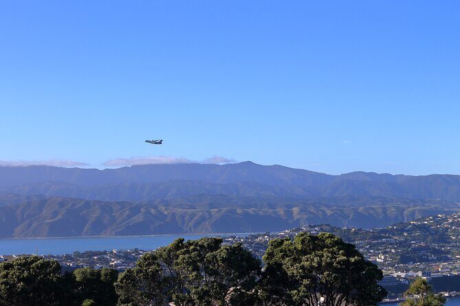 Wellington Hiking Tour: Climb & Unwind Experience - Authentic Experiences and Traveler Impressions