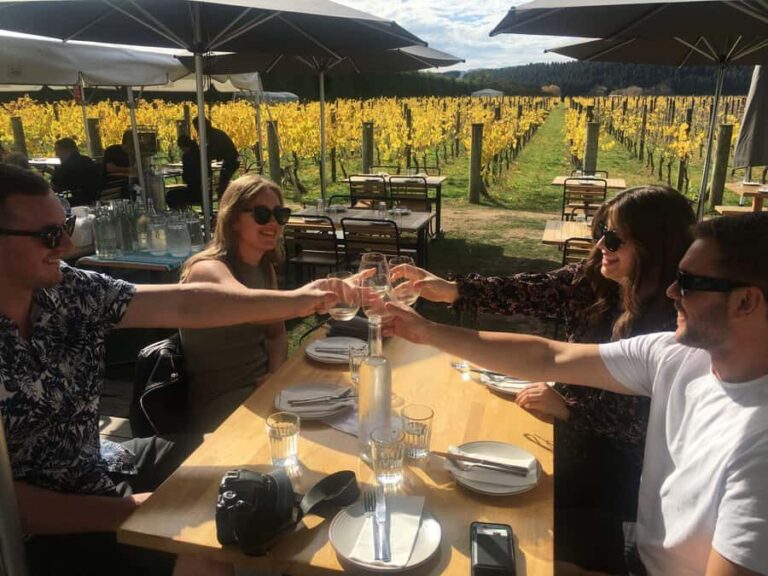 Wellington: Martinborough Private Winery Tour with Lunch - What Sets This Tour Apart