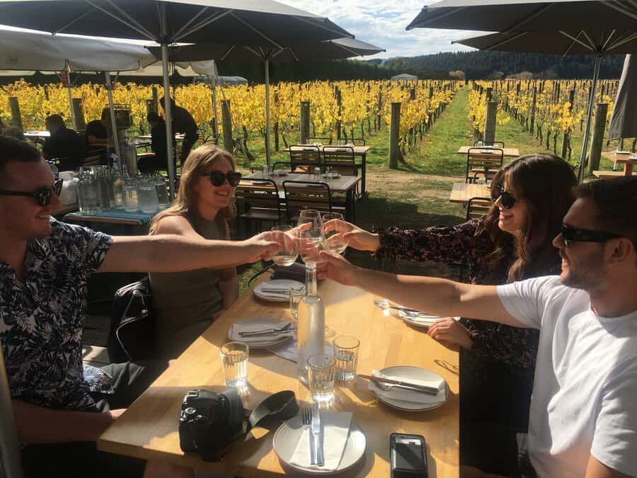 Wellington: Martinborough Private Winery Tour with Lunch - What Sets This Tour Apart