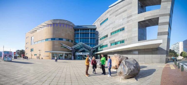 Wellington: Museum of NZ General Admission - Highlights of the Museum Experience