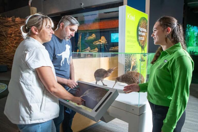 Wellington: Museum of NZ Intro Tour & General Admission - The Highlights and What Makes This Tour Stand Out