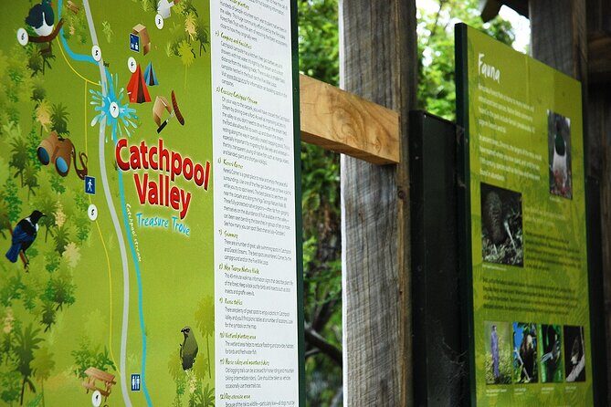 Wellington Native Bush Walking Tour - What Travelers Are Saying and Why It Matters