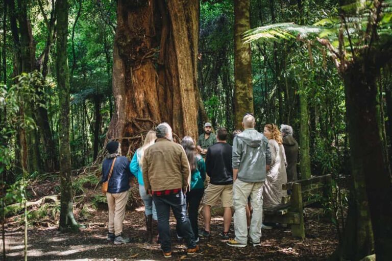 Wellington: Original LOTR Full-Day Tour with Weta & Lunch - The Experience and Its Value