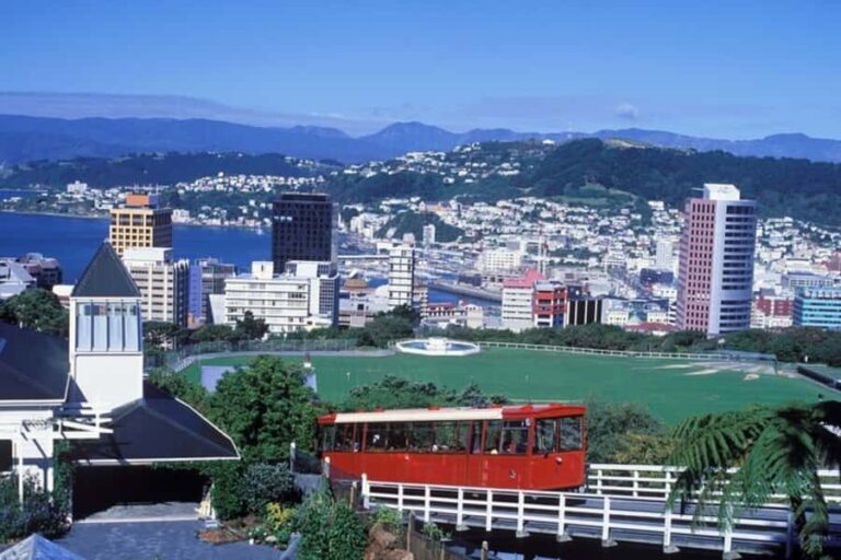 Wellington: Private custom tour with a local guide - Who Will Love This Tour?