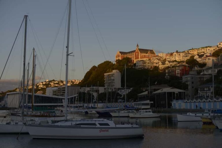 Wellington: Private Day Tour with Lunch - Who Should Consider This Tour?
