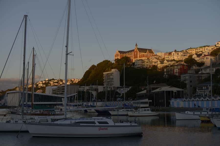 Wellington: Private Day Tour with Lunch - Who Should Consider This Tour?