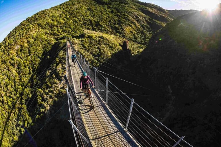 Wellington: Remutaka Rail Trail Cycle Tour - Authentic Experiences and Practical Insights