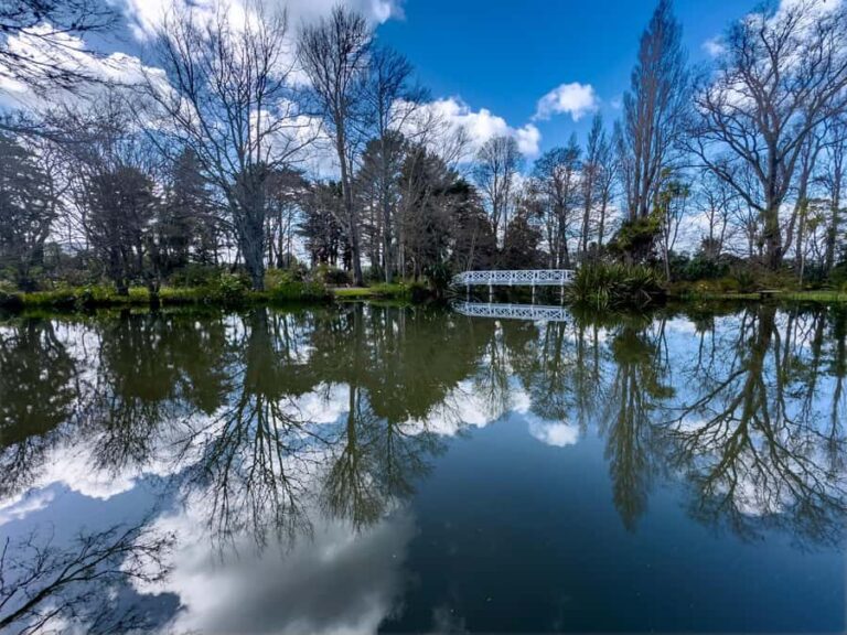 Wellington: Secret Realms of Middle-earth - Lothlorien - Who Will Love This Tour?