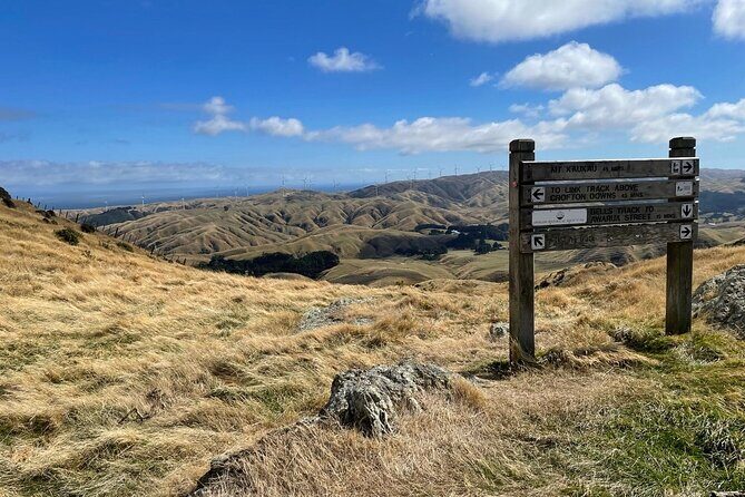 Wellington: Wild Skyline Guided Hiking Tour, Transfers + Lunch - The Itinerary in Detail
