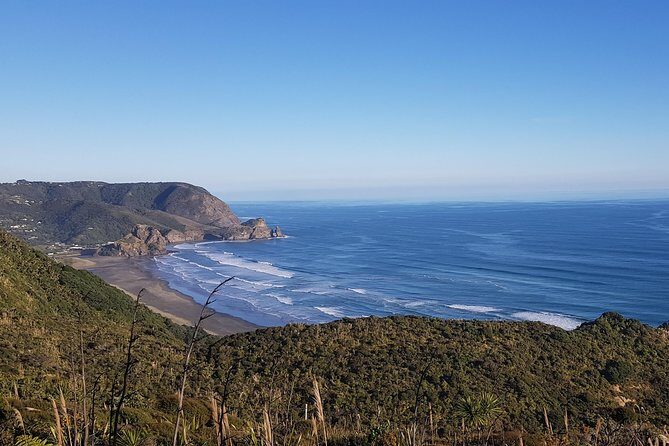 West Coast Discovery - Piha Beach or Muriwai Beach from Auckland - What Travelers Are Saying