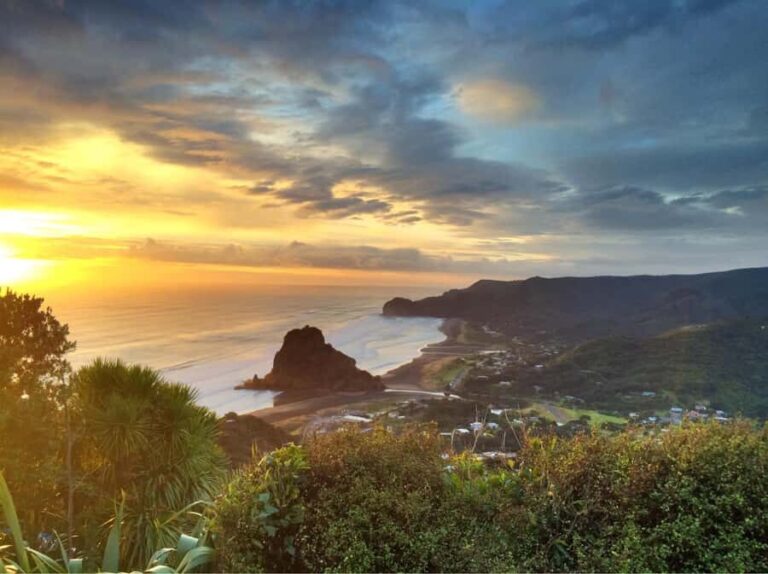 West Coast Discovery Piha Beach Private Tour - An In-Depth Look at the West Coast Discovery Piha Beach Private Tour