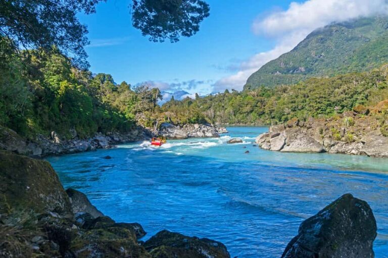 West Coast: Eco River Safari in UNESCO World Heritage Area - Who Will Love This Tour?