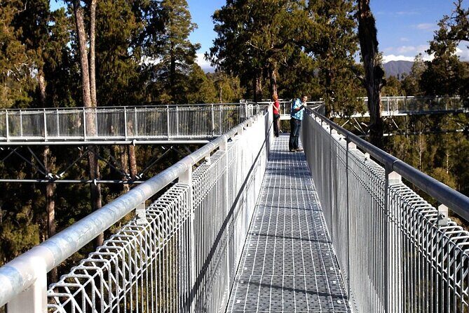 West Coast Tower Zipline & Treetop Walk Combo - What Makes This Tour Stand Out?